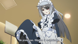 IS: Infinite Stratos 2